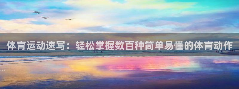 利记官网下载注册：体育运动速写：轻松掌握数百种简单易