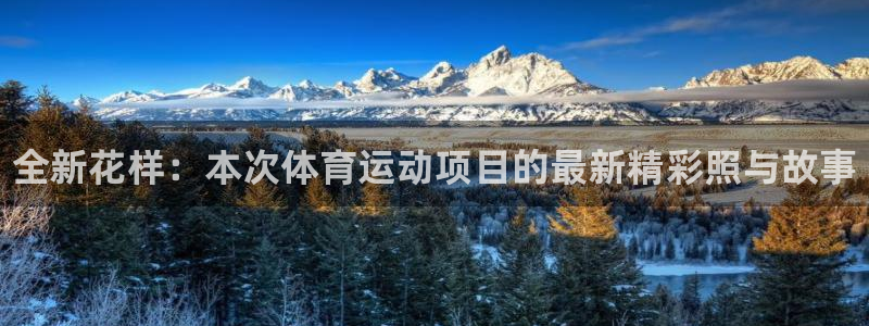 利记官方集团官网：全新花样：本次体育运动项目的最新精