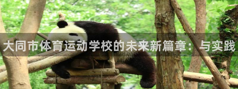利记官方正版app娱乐是那个系列的台子：大同市体育运