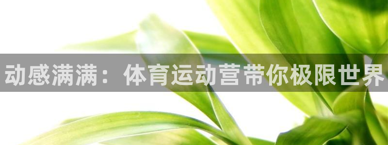 利记官网下载娱乐：动感满满：体育运动营带你极限世界