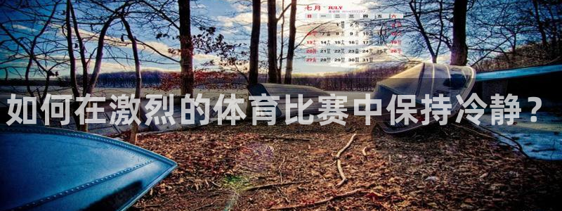 利记官网下载平台是正规平台吗安全吗：如何在激烈的体育