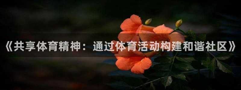 利记官网下载：《共享体育精神：通过体育活动构建和谐社区》
