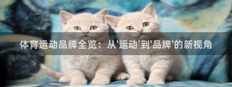 利记官方正版app集团官网网址：体育运动品牌全览：从