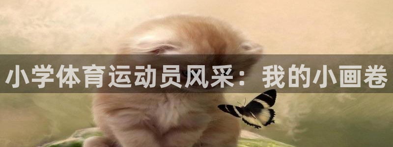 利记官网下载招商电话号码：小学体育运动员风采：我的小画卷