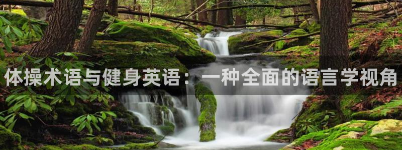 利记官方正版app娱乐40996：体操术语与健身英语：一种全