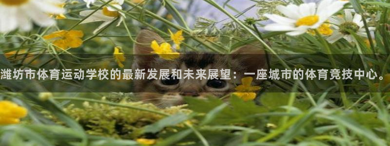 利记官网下载注册：潍坊市体育运动学校的最新发展和未来