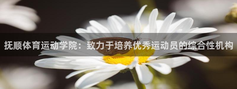 利记官网下载招商电话：抚顺体育运动学院：致力于培养优秀运动员
