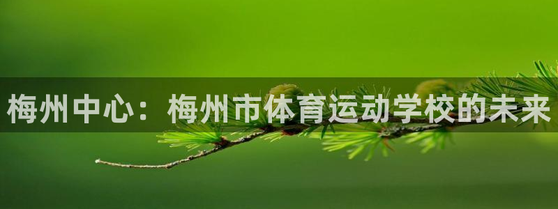 海南利记官网下载发展怎么样：梅州中心：梅州市体育运动