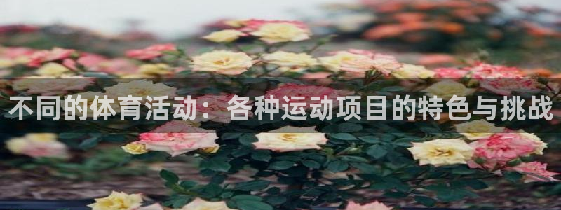 利记官网下载招商电话号码是多少：不同的体育活动：各种运动项目