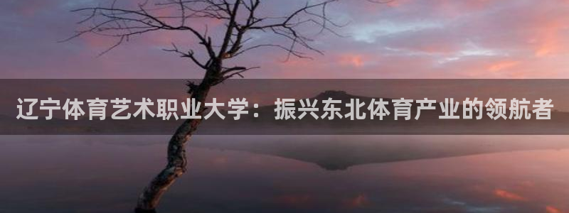 利记官方集团官网：辽宁体育艺术职业大学：振兴东北体育产业的领