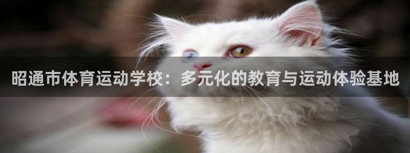 利记官网下载平台：昭通市体育运动学校：多元化的教育与运动体验