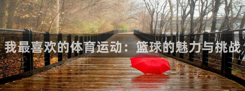 利记官方正版app官方：我最喜欢的体育运动：篮球的魅力与挑战