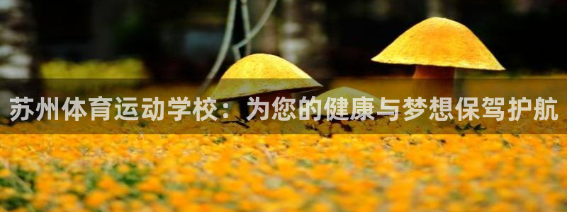 利记官网下载平台注册：苏州体育运动学校：为您的健康与梦想保驾