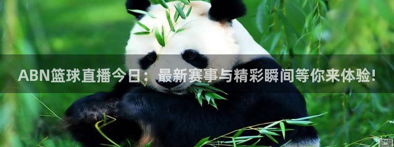 劲爆体育nba今天直播：ABN篮球直播今日：最新赛事与精彩瞬间等你来体验!