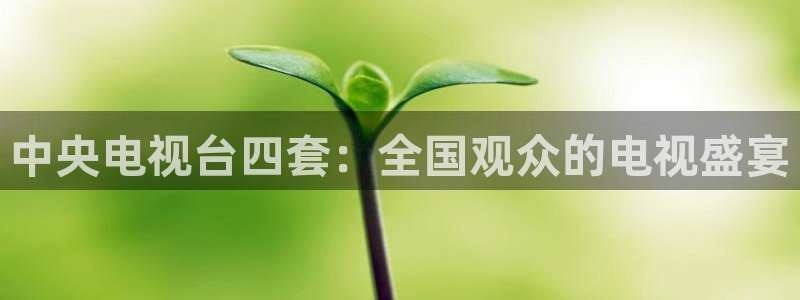劲爆体育篮球直播：中央电视台四套：全国观众的电视盛宴