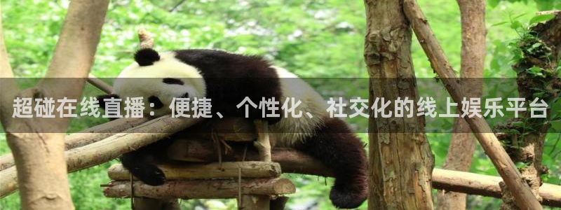 上海劲爆体育在线直播：超碰在线直播：便捷、个性化、社交化的线上娱乐平台