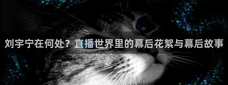 上海劲爆体育在线直播：刘宇宁在何处？直播世界里的幕后花絮与幕后故事