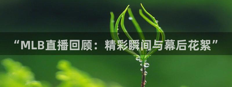 劲爆直播体育：“MLB直播回顾：精彩瞬间与幕后花絮”