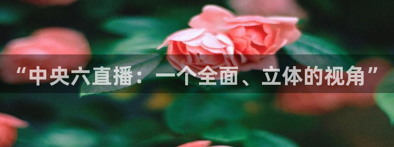劲爆体育在线直播nba高清：“中央六直播：一个全面、立体的视角”