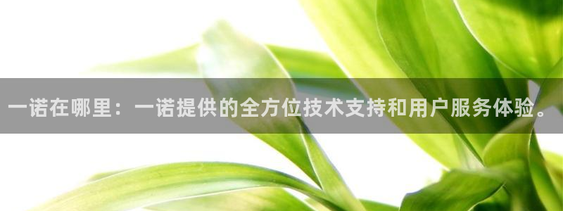 劲爆体育免费直播nba边看边玩1.新通道.club：一诺在哪里：一诺提供的全方位技术支持和用户服务体验。