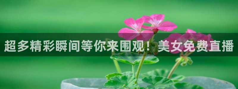 劲爆体育直播免费观看cba：超多精彩瞬间等你来围观！美女免费直播