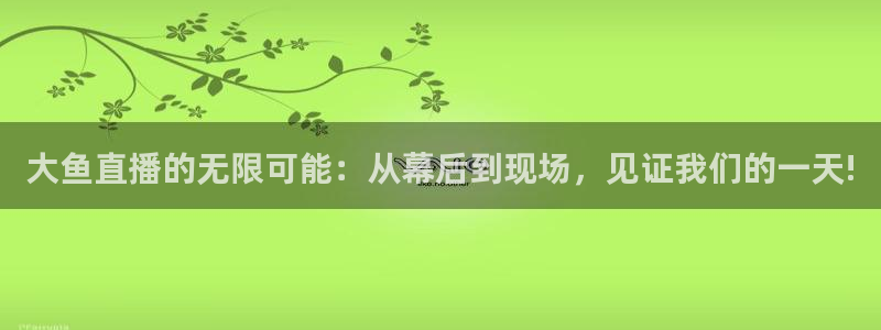 劲爆体育无插件直播：大鱼直播的无限可能：从幕后到现场，见证我们的一天!
